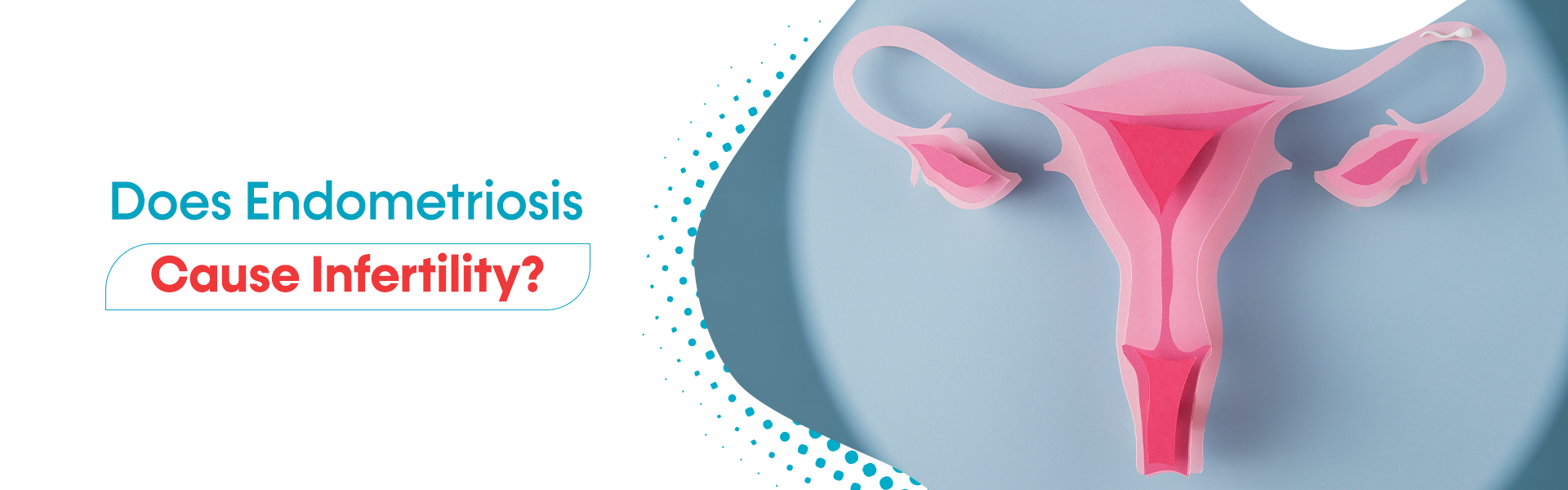 questions to ask fertility specialist