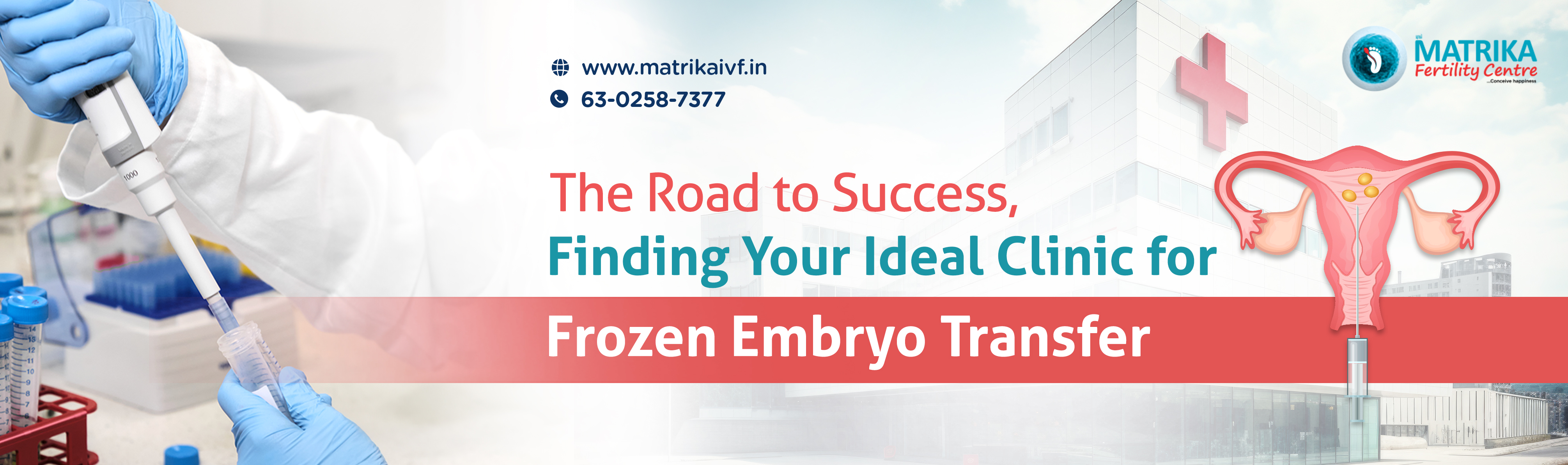 frozen embryo transfer