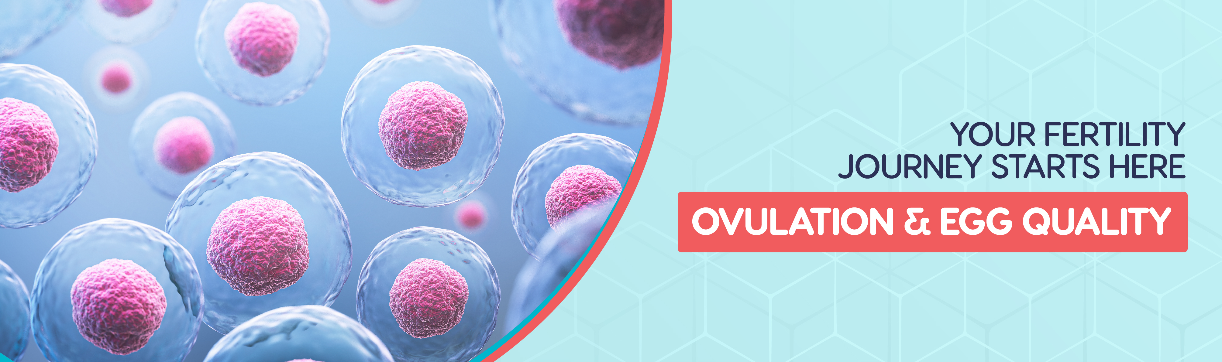 the-key-to-ivfiui-success-understanding-ovarian-stimulation