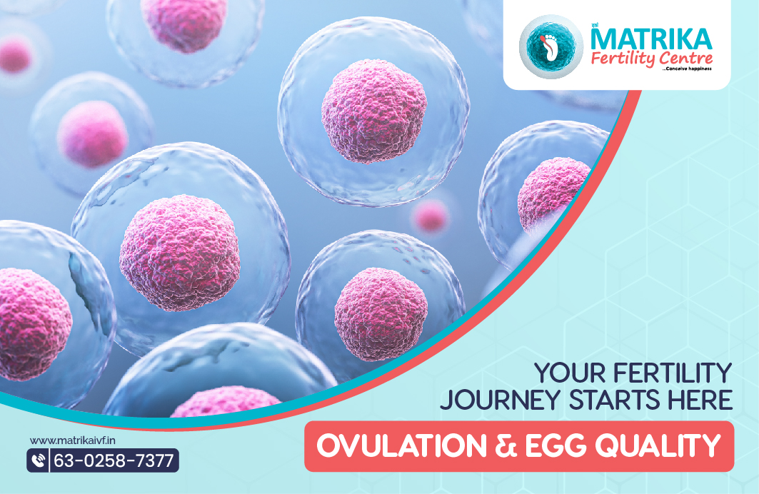 uterine anomalies in infertility