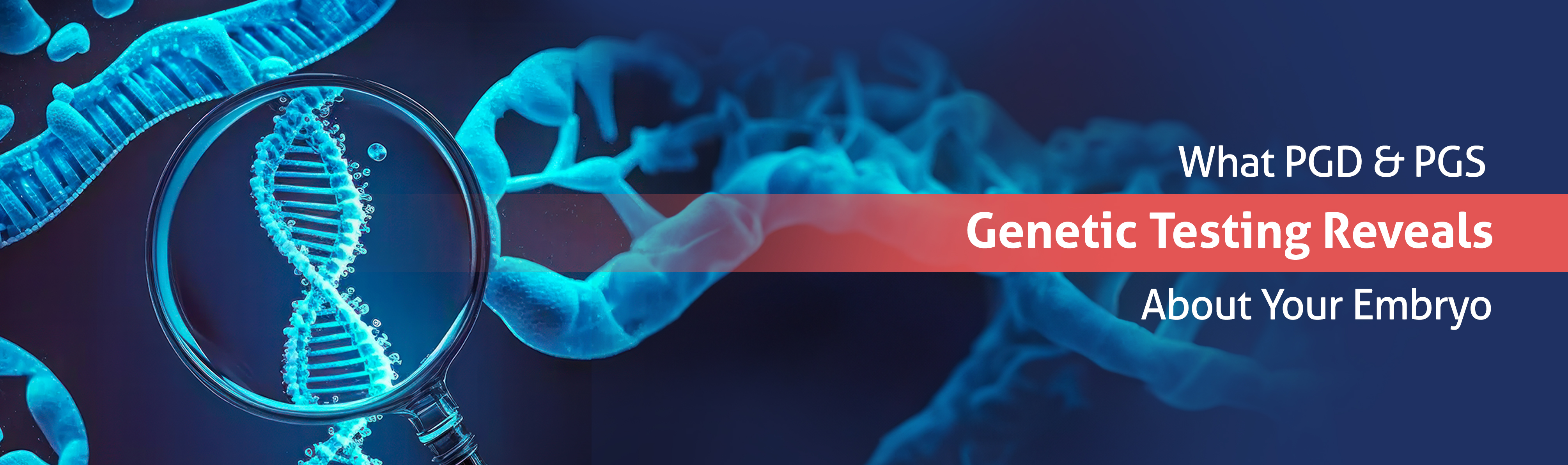 genetic-testing-embryo-transfer-pgd-pgs