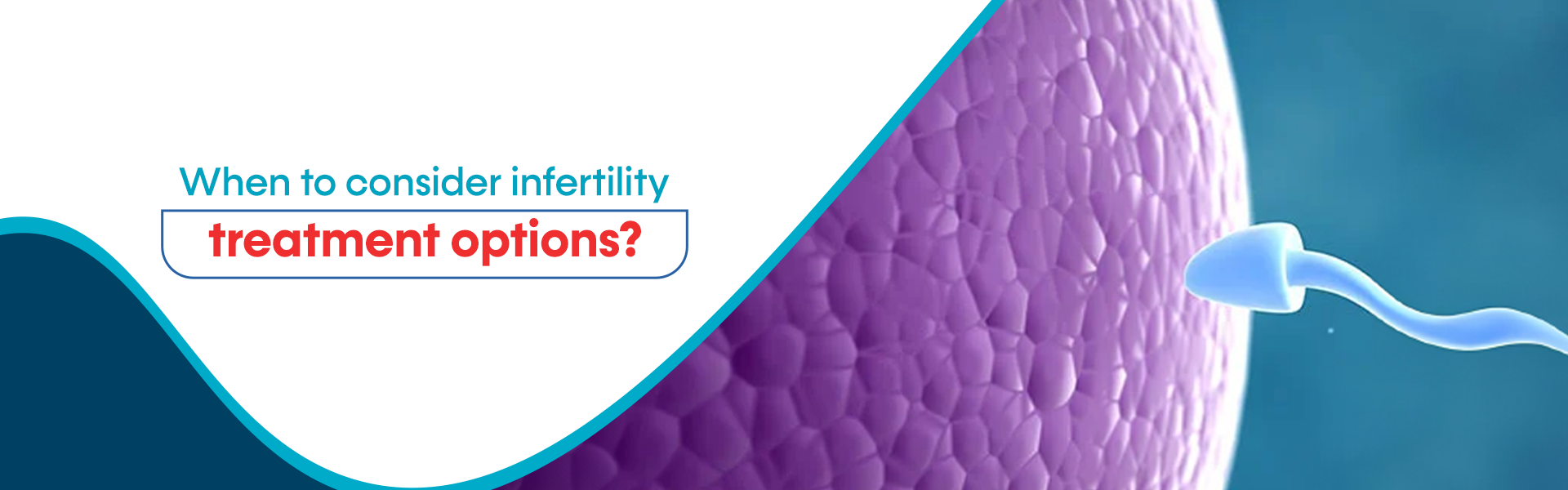 questions to ask fertility specialist